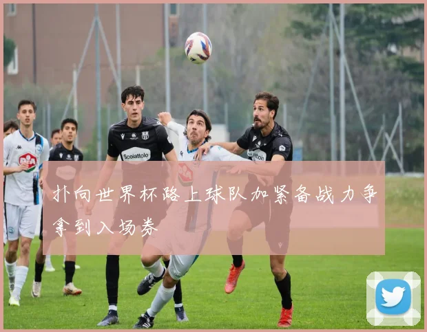 扑向世界杯路上球队加紧备战力争拿到入场券