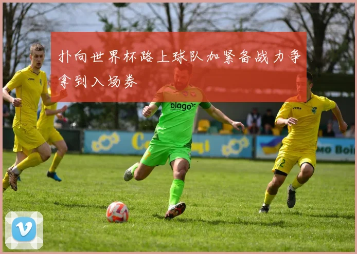 扑向世界杯路上球队加紧备战力争拿到入场券