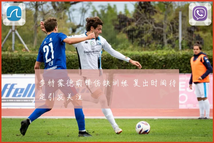 多特蒙德前锋伤缺训练 复出时间待定引发关注