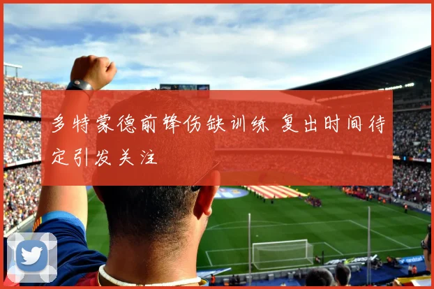 多特蒙德前锋伤缺训练 复出时间待定引发关注