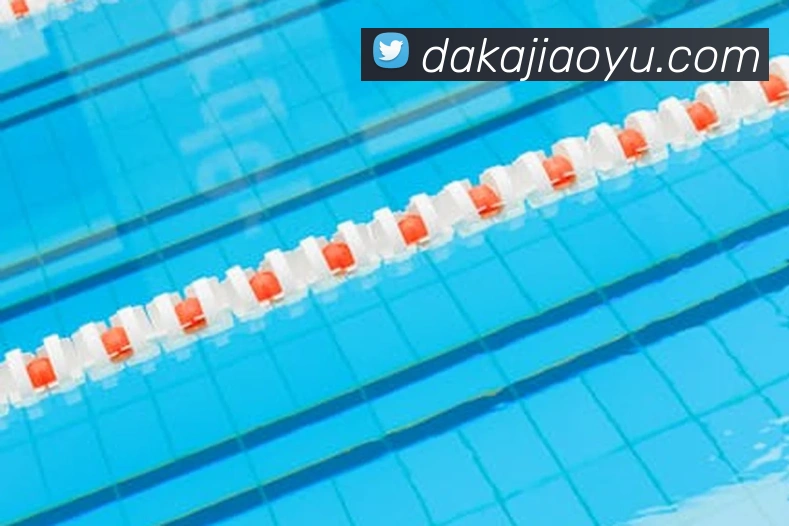 世界杯开户平台服务体系